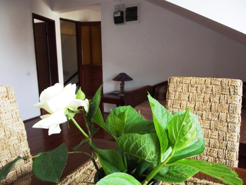 Apartments Budva Center Номер фото